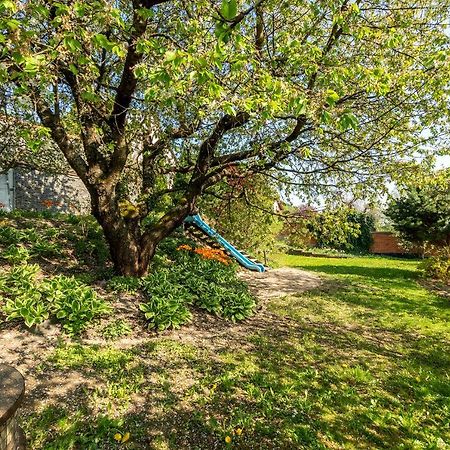 Vila Slunecni Stran Svoboda nad Úpou Buitenkant foto